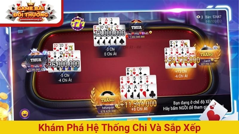 Khám phá hệ thống chi và sắp xếp